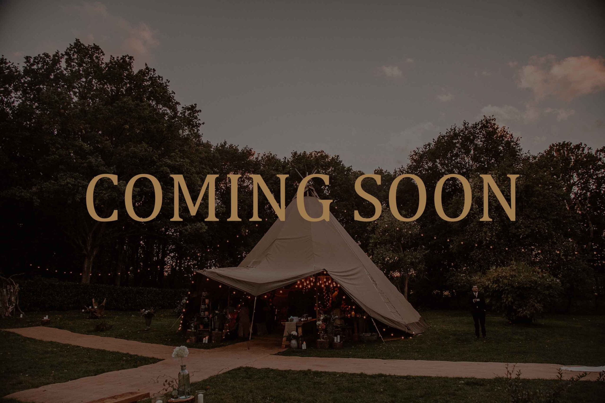 https://ellavioletphotography.com/wp-content/uploads/2023/02/Coming-soon-3-scaled.jpg